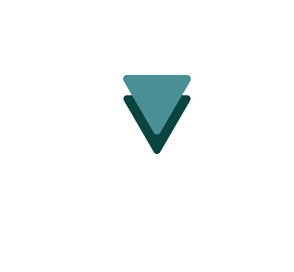 logo V